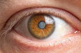 Image result for Cataract Extraction