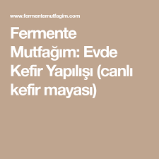 Fermente Mutfagim Evde Kefir Yapilisi Canli Kefir Mayasi Kefir Yogurt Evler