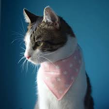 Star Cat Bandana Star Print Bandana Pink Cat Bandana Cat Neckwear Cat Collar With Stars Petdana Pet Neckwear Cat Cat Bandana Pet Bandana Cat Collars Diy