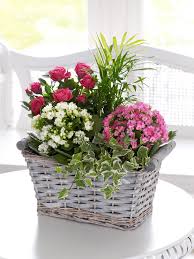 Full Of Textures And Variety This Gift Is A Miniature Garden Perfect For Enjoying Inside We Ve Chos Flower Vase Arrangements Kalanchoe Flowers Easter Flowers