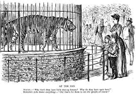 At The Zoo Zoo Zoo Animals Zoo Photos