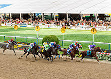 2014 Preakness Stakes Wikipedia