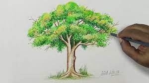 How to draw foliage and trees with the following lessons. Tree Drawing A Tree With Simple Colored Pencils Youtube