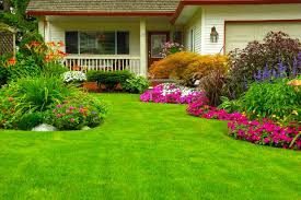 We did not find results for: Home True North Lawn Landscape Service