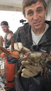 satisfyingvideo #feelgood.