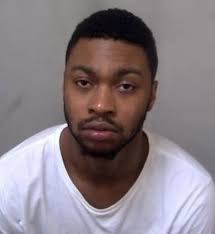 The faces and stories of 183 Essex criminals jailed in 2018 so far