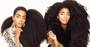 Look authentic, beautiful, and unique! Twin Sisters Once Ashamed Of Their Natural Hair Are Now Famous Because Of It