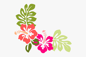 Hibiscus Flower Vector Png Free Transparent Clipart Clipartkey Over 14,326 hibiscus flower pictures to choose from, with no signup needed. hibiscus flower vector png free
