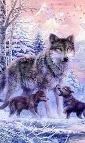 Bioma taiga adalah hutan yang tersusun dari satu spesies misalnya pinus, konifer, dan sejenisnya. Serigala Kutub Lwp For Android Apk Download