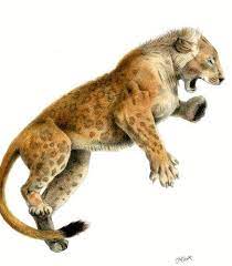 Mosbach Cave Lion Panthera Leo Fossilis Ancient Animals Prehistoric Animals Extinct Animals