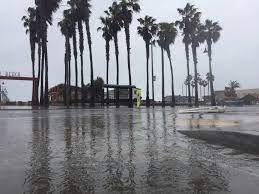 The city averages just two nights a year when the thermometer dips as low as 40 °f. Winter Weather Brings More Rain To San Diego Kpbs