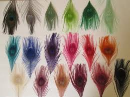 Peacock Feather Color Chart Build Your Own Wedding Garters Create Your Own Bridal Hair Piece Accessories Diy Feather Headband Supplies