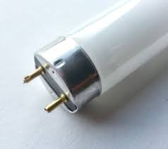 F20t10 23 Fluorescent Light Bulbs 866 637 1530