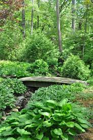 An Asian Inspired Garden Part 2 The Backyard Shade Garden Asian Garden Pond Landscaping