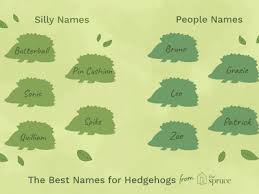100 Names For Pet Frogs And Toads Bird names names for pet birds. 100 names for pet frogs and toads