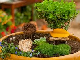 There's something here for every setting and every style, including a meadow in a box, a pond in a pot, a simple salad garden, and a combination that will attract hummingbirds. How To Create A Fairy Garden In A Container How Tos Diy