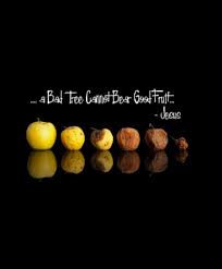 A Tree Is Known By Its Fruit We Have All Heard The Saying Everything That Glitters Ain T Gold This Applies To Var Fruit Best Fruits Fruits Of Holy Spirit