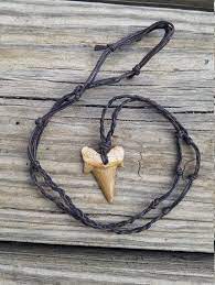 Shark Tooth Necklace Gifts For Men Shark Tooth Fossil Etsy Shark Tooth Necklace Shark Tooth Necklace Mens Tooth Necklace