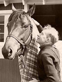 Seabiscuit - Wikipedia