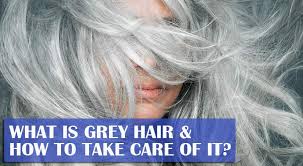 While growing grey hair while aging is natural, the tendency to get grey or white hair prematurely is more in a few individuals than in others, due to various causes. What Is Grey Hair How To Take Care Of It Dailysandesh Com