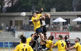 Varsity cup dream team vs junior springboks. New Nelson Mandela University Coach Ready For Battle In Varsity Cup