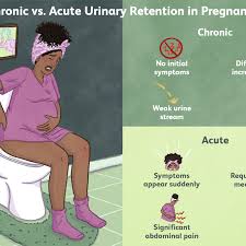 We did not find results for: Understanding Urinary Retention In Pregnancy