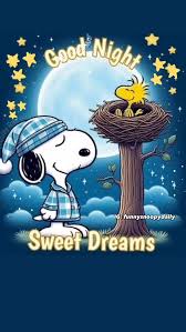 Good night & Sweet Dreams ߘ Ԣݤ️