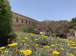 Weitere ideen zu garten, garten anlegen, gartengestaltung. Gratis Reisefuhrer Fur Israel Online Pdf Download