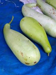 Labu air utawi labu sayur (lagenaria siceraria) inggih punika salah satunggaling jinis labu ingkang wohinpun ingkang taksih enèm saged dipunjangan lan wohipun ingkang sampun tua saged dipudadosaken wadhah toya, tabung, kanthong hias, utawi dados koteka. Pengobatan Dan Khasiat Herbal Khasiat Buah Labu Air