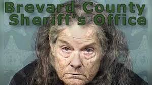 Brevard County wife accused of hitting husband with car