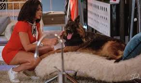 فيلم التاروت.. رانيا يوسف تخون حبيبها مع كلبها الشخصي «صور» - الأسبوع