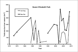 Image result for Rubus kirungensis