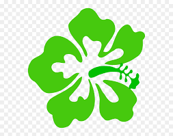 Free Free Tropical Flower Svg Free 432 SVG PNG EPS DXF File