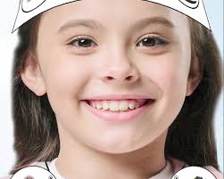 Salamander Life Cycle Activities