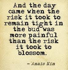 Quotes Sayings Anais Nin Quotes Words Anais Nin