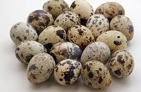 hokkaido s one and only quail egg