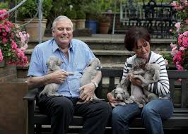 The analogy here is to examining a horse's teeth, which reveal its age with some accuracy. Peter Alliss Renowned Player And Acclaimed Commentator Will Forever Be One Of Golf S Distinctive Characters Golf News And Tour Information Golfdigest Com