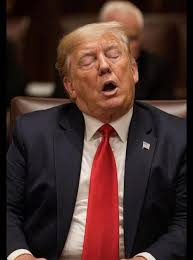 BREAKING PRESIDENT DONALD TRUMP WINS THE (FIFA) FECKING IMBECILE'S FAKE A$$  PEACE AWARD M ЛЛЛ SONUN င်တ်ရ FIFA ิ АЕДЕ យជារាស្យៃ းာ للب no poMaKa розыЕ  помматлвзм TRJMP PHOTO COURTESY OF CNN