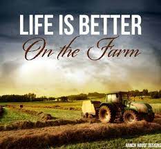 In lebanon, the agricultural sector suffers from both internal and external problems that opposed its development. January 2014 Livestock Motivation Ranch House Designs Farm Life Quotes Life Is Good Farm Life