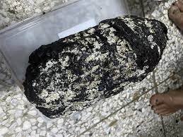 Jenis resiko cukup beragam bentuknya, mulai dari risiko kebakaran, kecelakaan, risiko kerugian, fluktuasi kurs, perubahan tingkat bunga, dan masih banyak lagi. Ambergris Muntah Paus Yang Keluar Dari Anus Harga Sekilonya Rp70 Juta