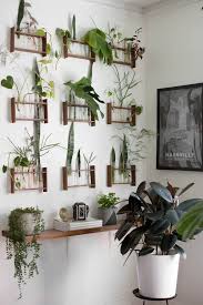 65 Of Our Favorite Plant Displaying Ideas Of All Time Plant Display Ideas Indoor Plant Wall Plant Wall