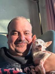 Remembering a beloved pet Chihuahua's passing and sharing condolences