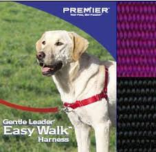 Cheap Easy Walk Dog Harness Sizing Find Easy Walk Dog