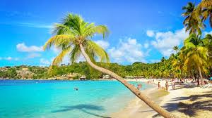 En guadeloupe, la saison sèche commence au mois de décembre pour se terminer durant le mois d'avril. Que Faire En Guadeloupe Top 23 Lieux A Voir Conseils Voyage Tips