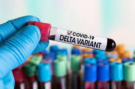 Octavian jurma a mai spus că tulpina delta este deja dominantă în moscova şi este un pericol mai mare decât varianta britanică pe care o înlocuieşte. Doi BÄƒrbaÈ›i Din BacÄƒu Au Murit InfectaÈ›i Cu Varianta Delta AltÄƒ PersoanÄƒ In Stare GravÄƒ La IaÈ™i Stirileprotv Ro