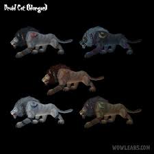 worgen druid cat colors best cat cute pictures meme