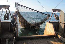 Pescuitul este un sector cheie pentru economia marii negre, care genereaza un venit anual de 350 de milioane de dolari, cu peste 350 de tone pescuite in fiecare an. Pescuitul La Marea NeagrÄ