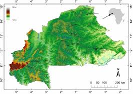 Image result for Hyparrhenia welwitschii