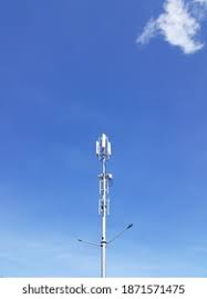 Image result for Oedina