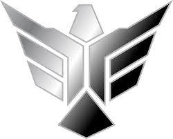 Se sua logo ficar bacana e quiser divulgar ela aqui é simples! 39 Master Logo Rank Free Fire Png